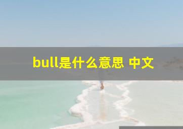 bull是什么意思 中文